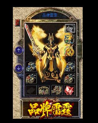 盔甲虫探寻鉴别之秘